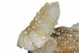 Sparkling Cactus Quartz Crystal Cluster - South Africa #303474-2